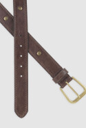 Dickies Studded Belt Dark Brown