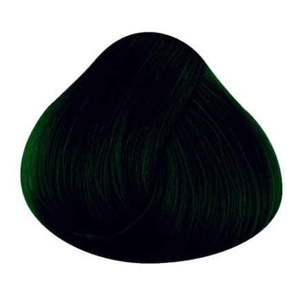Directions Haircolour Ebony